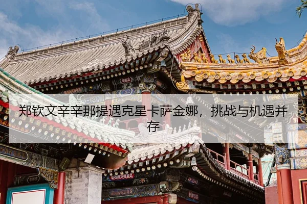 zheng-qin-wen-xin-xin-na-ti-yu-ke-xing-ka-sa-jin-na-tiao-zhan-yu-ji-yu-bing-cun-3-701.jpg