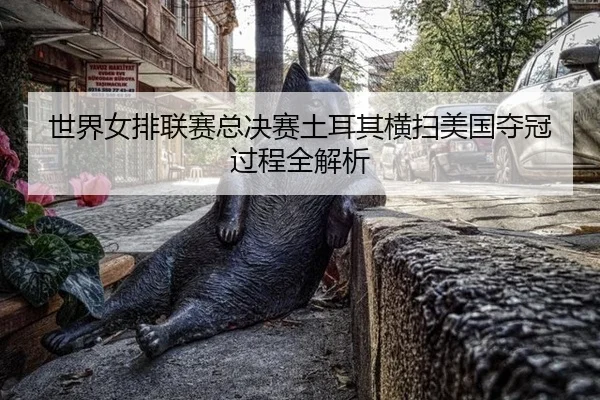 shi-jie-nv-pai-lian-sai-zong-jue-sai-tu-er-qi-heng-sao-mei-guo-duo-guan-guo-cheng-quan-jie-xi-2-173.jpg